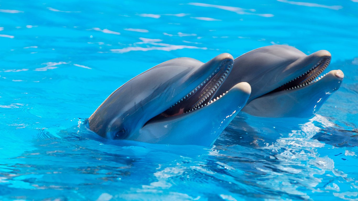 How to Choose Swimming Pool Equipment Suppliers for Reliable, Efficient Upgrades