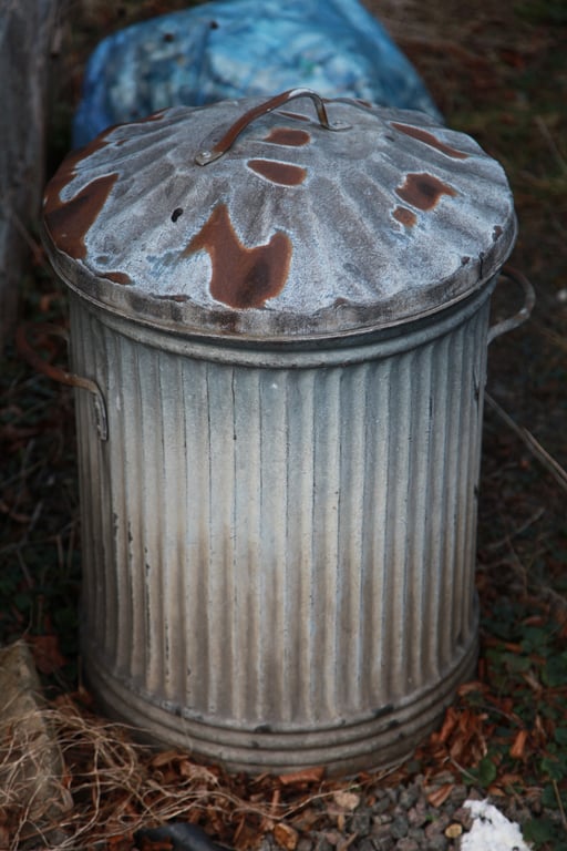 rat near rubbish bin
