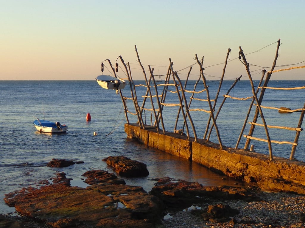 pontoon boat trailer