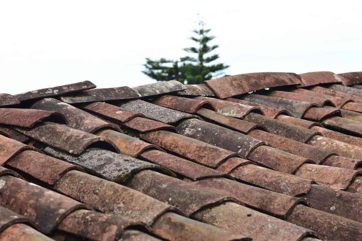 Roof Replacement Cost: What Homeowners Should Budget For Before Hiring a Contractor