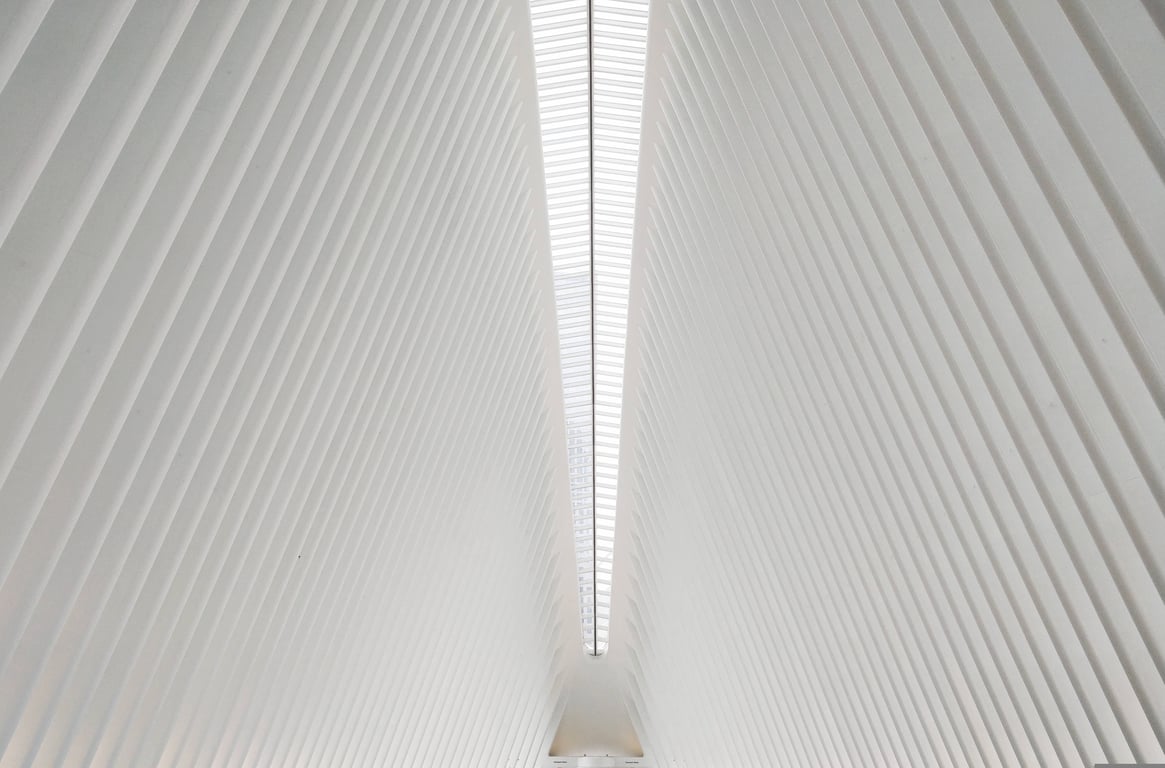 roof inspection