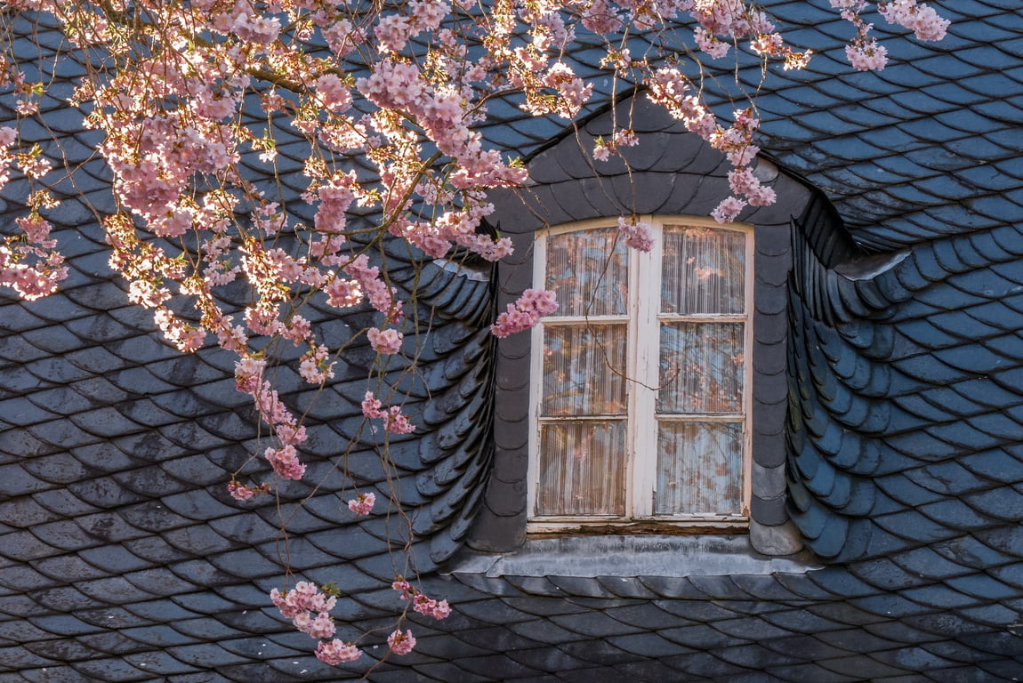 steep roof with dormers