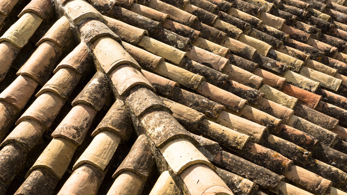 roof replacement shingles