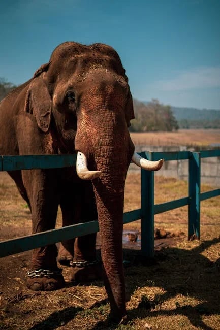 Image describing Sapphire Showdown Discover the Best Card for 2025 Now!