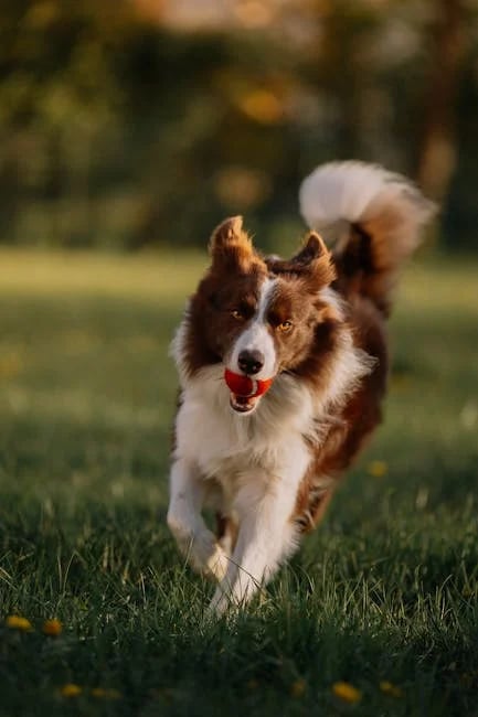 Image describing Uncover 7 Best Chase Rewards to Maximize in 2025!