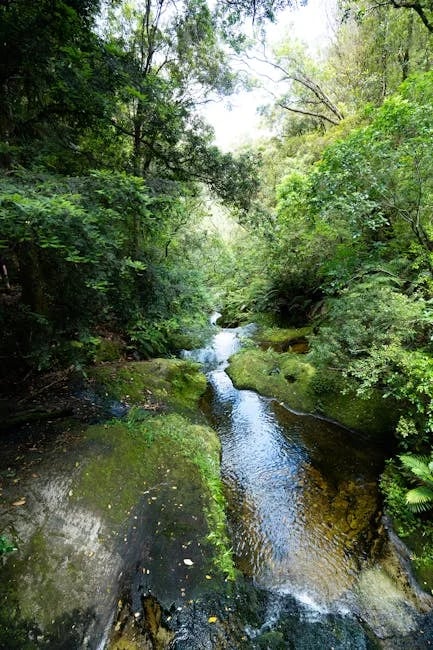 Image describing Top 5 Brokerages You Need to Know About in 2025!