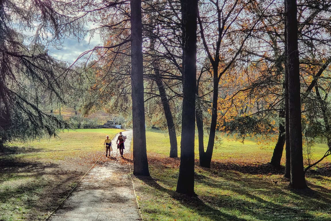 senior walking in park