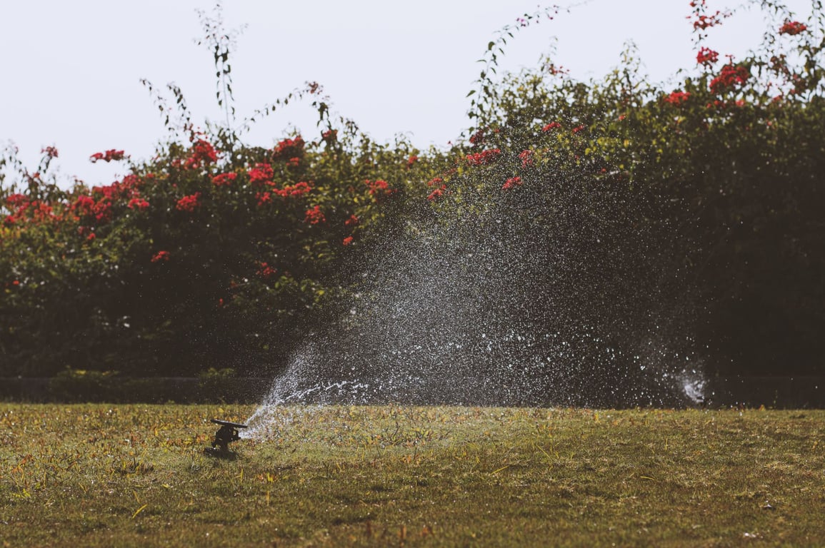 Best Lawn Care Service Near Me: How to Compare Local Providers Before You Hire