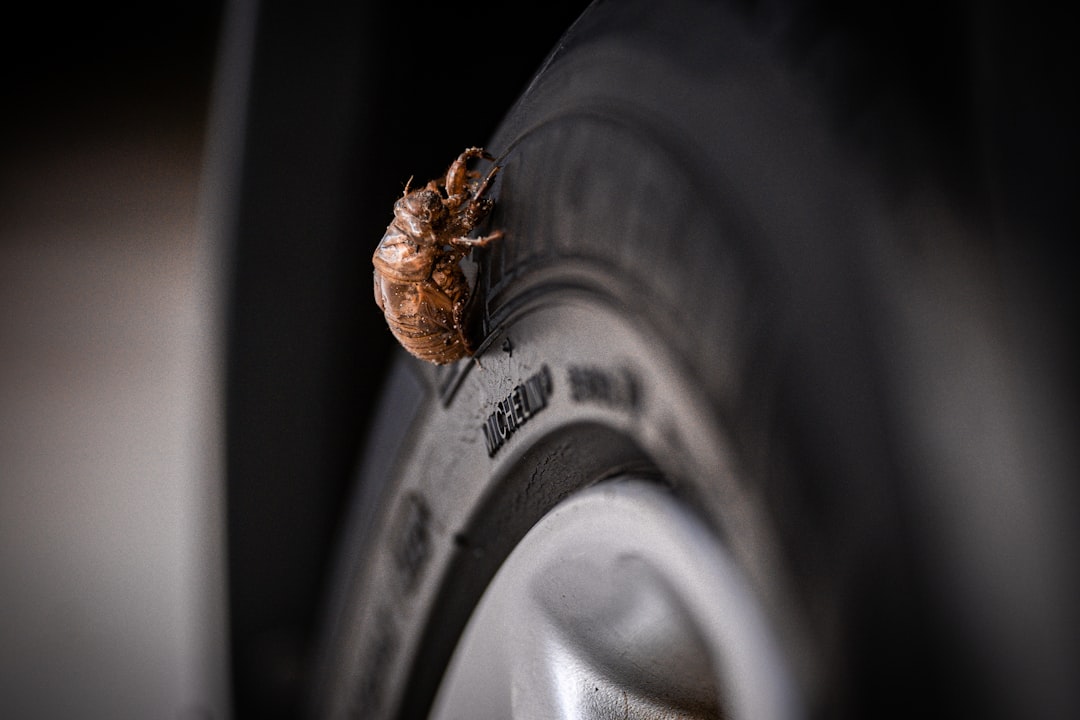 Midas Tire Repair: What to Ask Before You Approve the Service