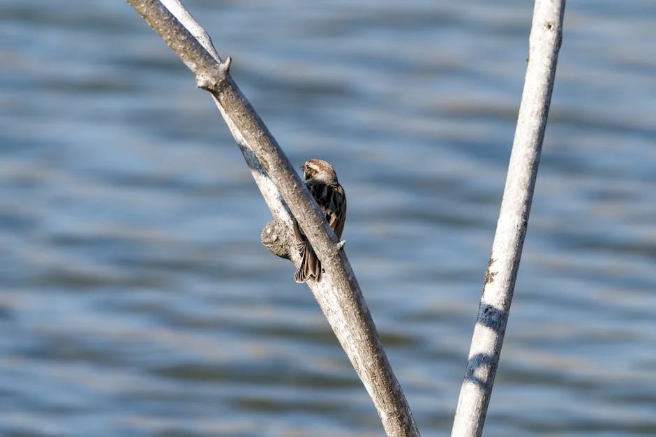 Image describing Unlock the Secrets of Winning a Gates Cambridge 2025!