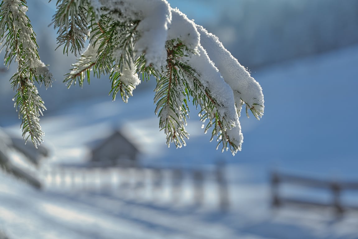 winter tires on snowy road