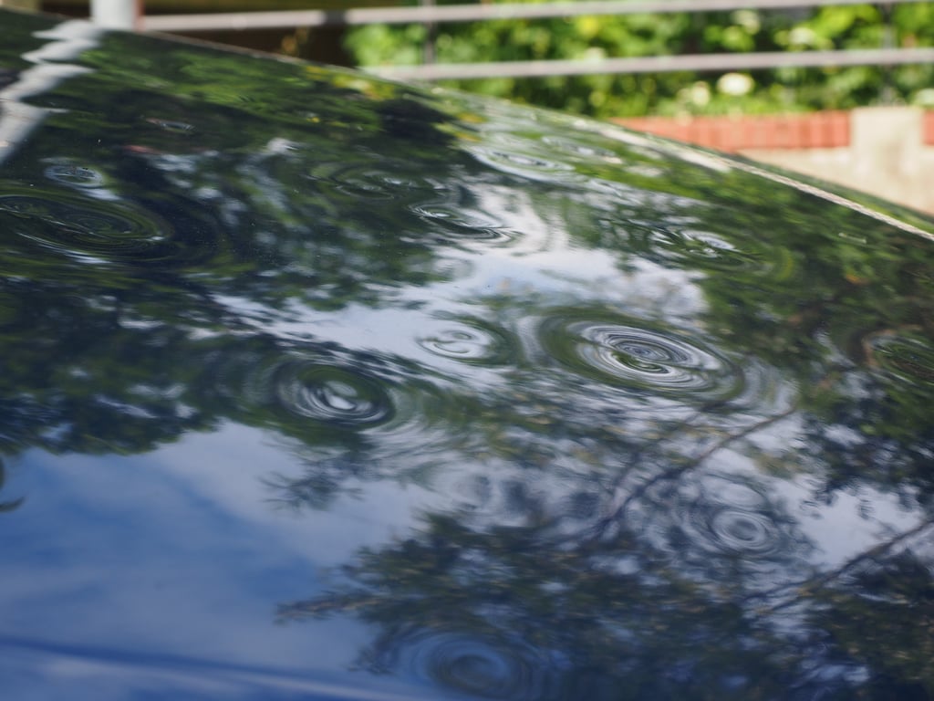 hail damaged metal roof