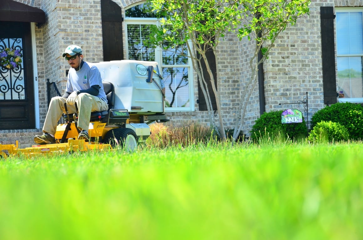 lawn mowing service