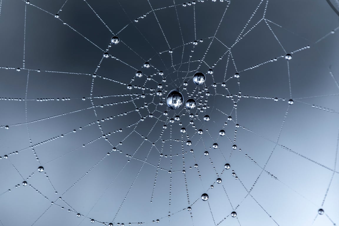 spider web in corner