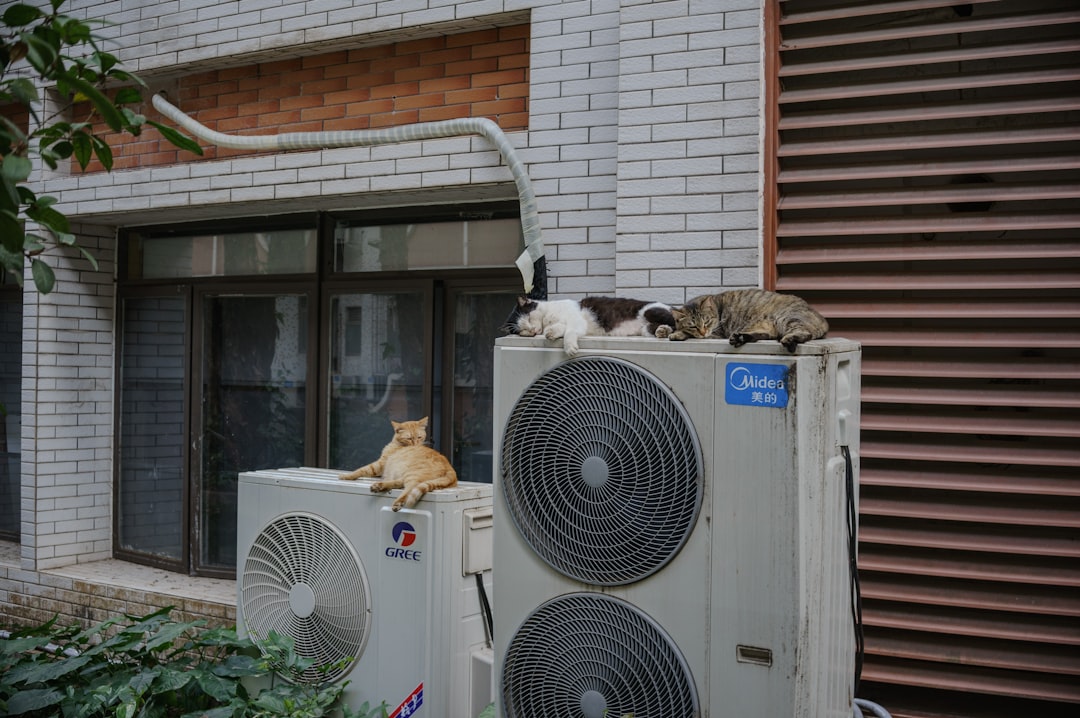 Heat Pump Contractors Near Me: How to Find Qualified Local Installers