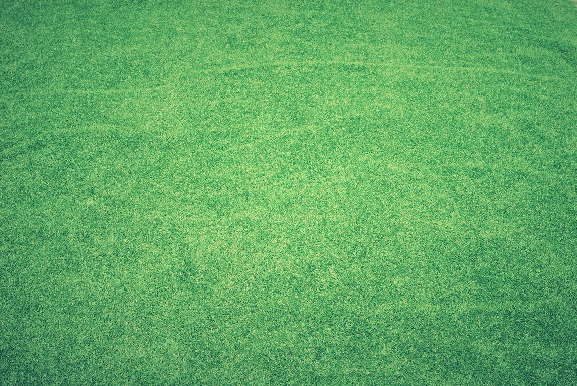 lawn sod installation