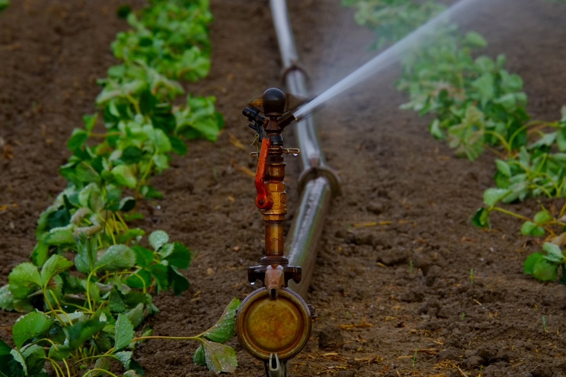 lawn sprinkler heads