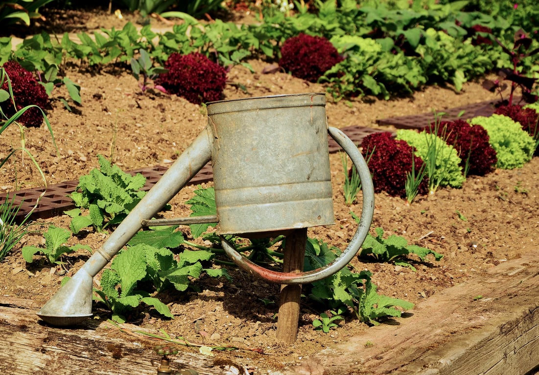 drip irrigation garden bed