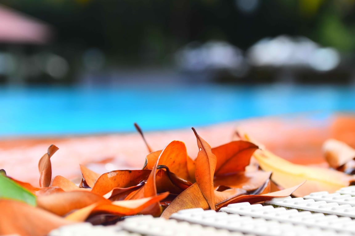 swimming pool maintenance