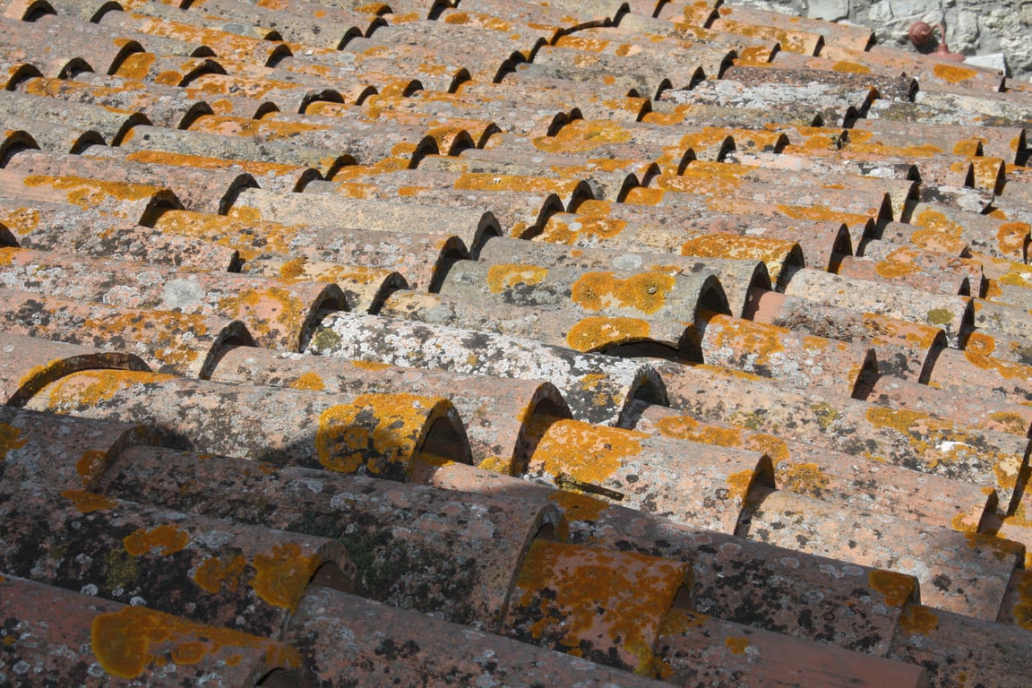 damaged roof shingles