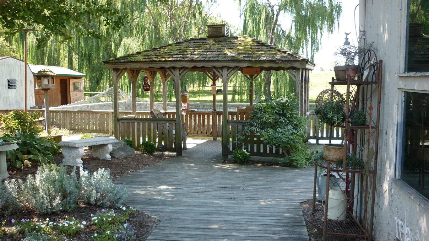 backyard patio landscaping