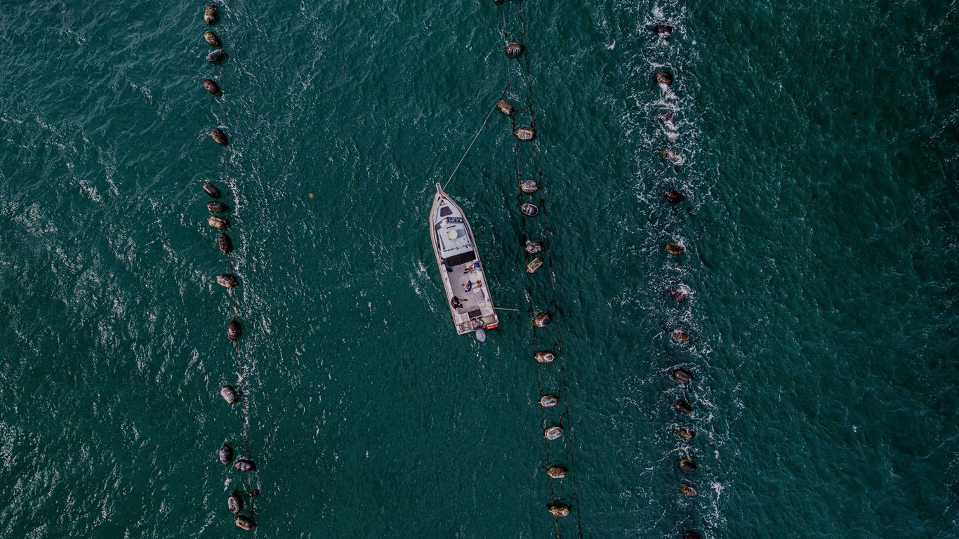 Best Fishing Charters Near Me: How to Compare Boats, Captains, and Total Costs