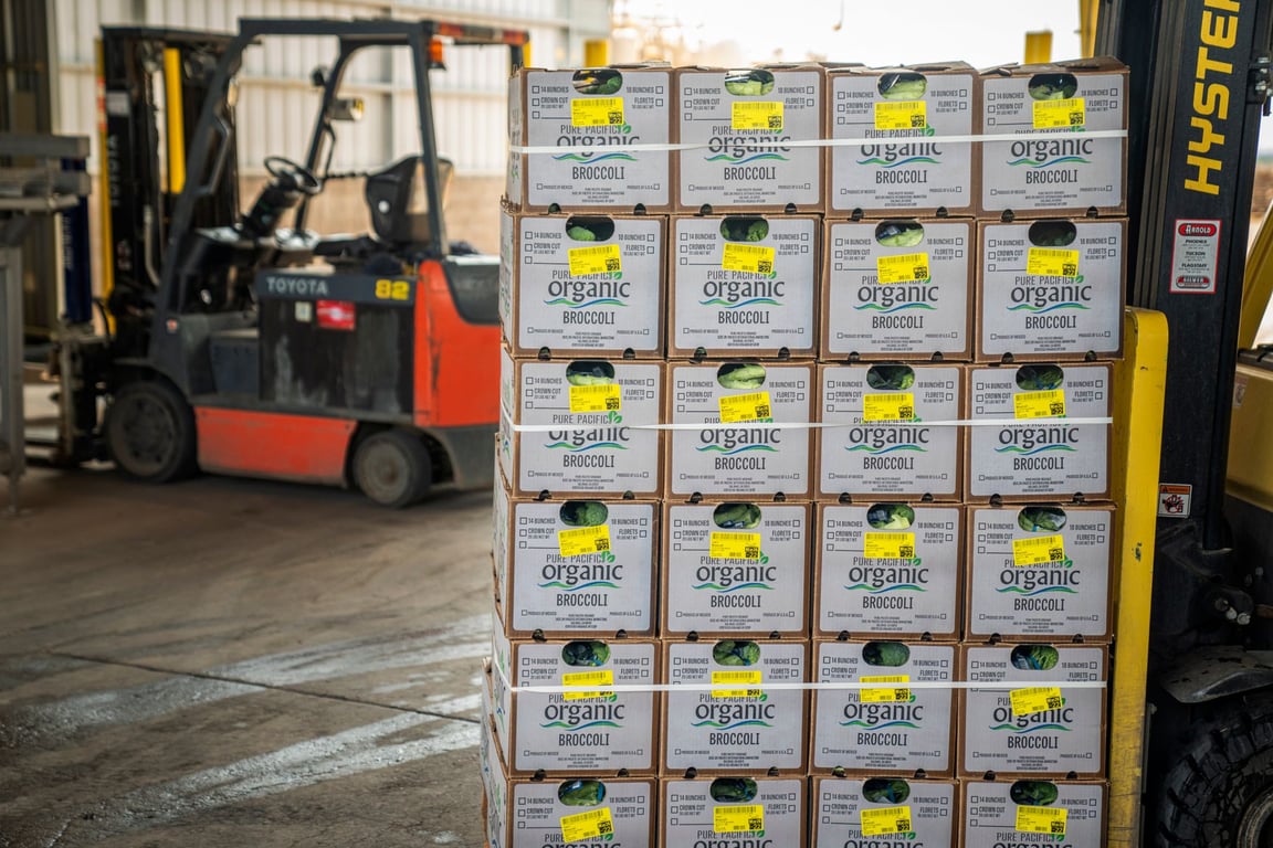 WMS Warehouse Management System: The Operational Backbone of a Scalable Warehouse