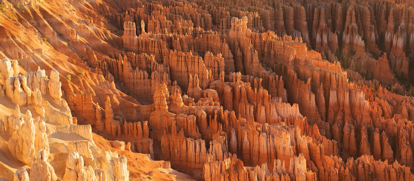 Bryce Canyon hoodoos