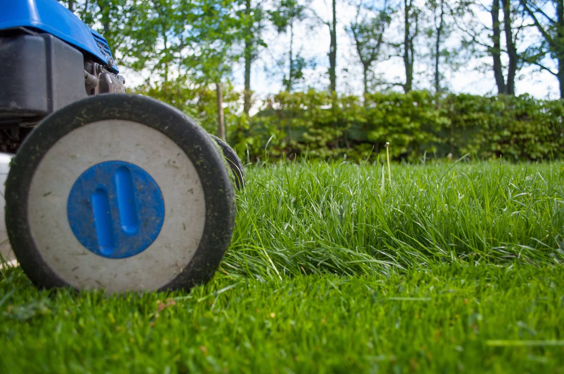 lawn maintenance crew mowing yard