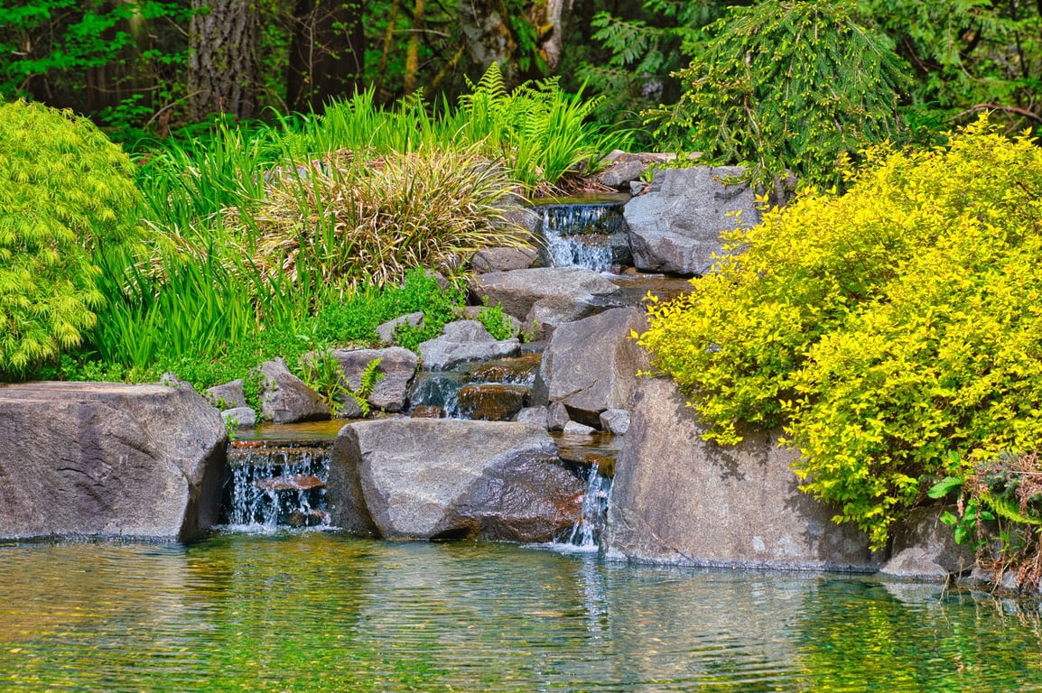 Landscaping Prices: What Drives Costs and How to Budget Smarter