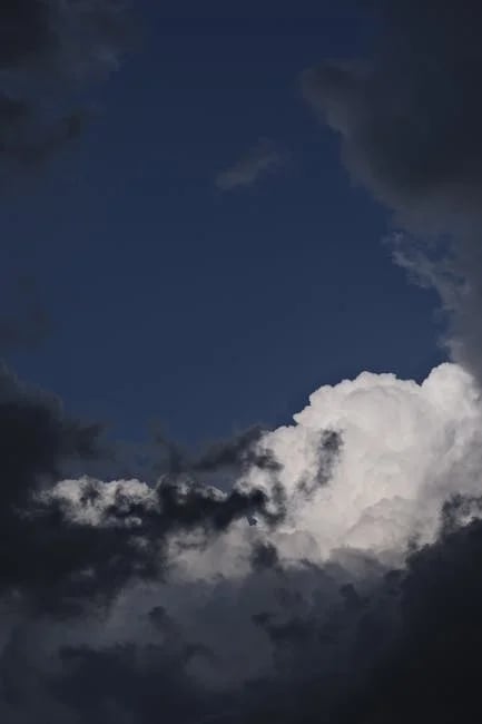 Image describing Discover the 5 Secrets of Heaven by Marc Jacobs Now!