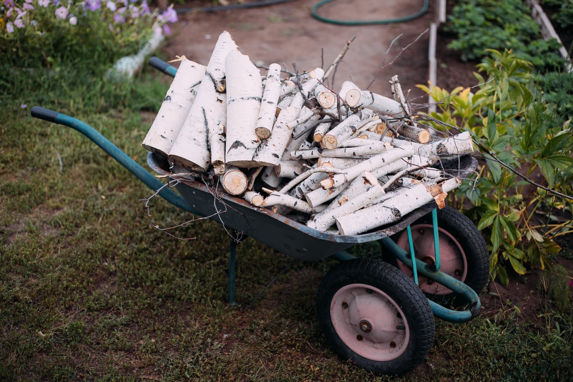 yard drainage landscaping