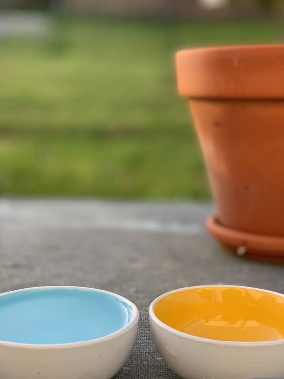 dog and cat food bowls