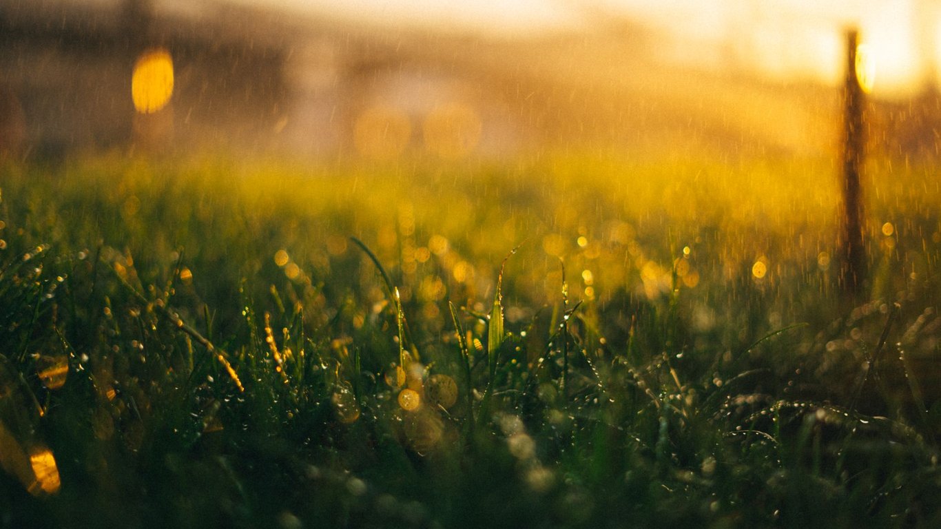 Lawn Sprinkler System Repair: Diagnose Leaks, Pressure Problems, and Broken Zones