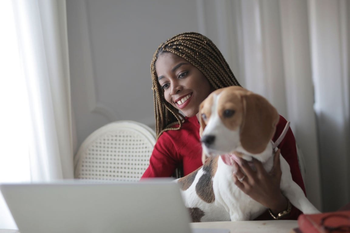 Affordable Pet Insurance: How to Find Meaningful Coverage on a Budget