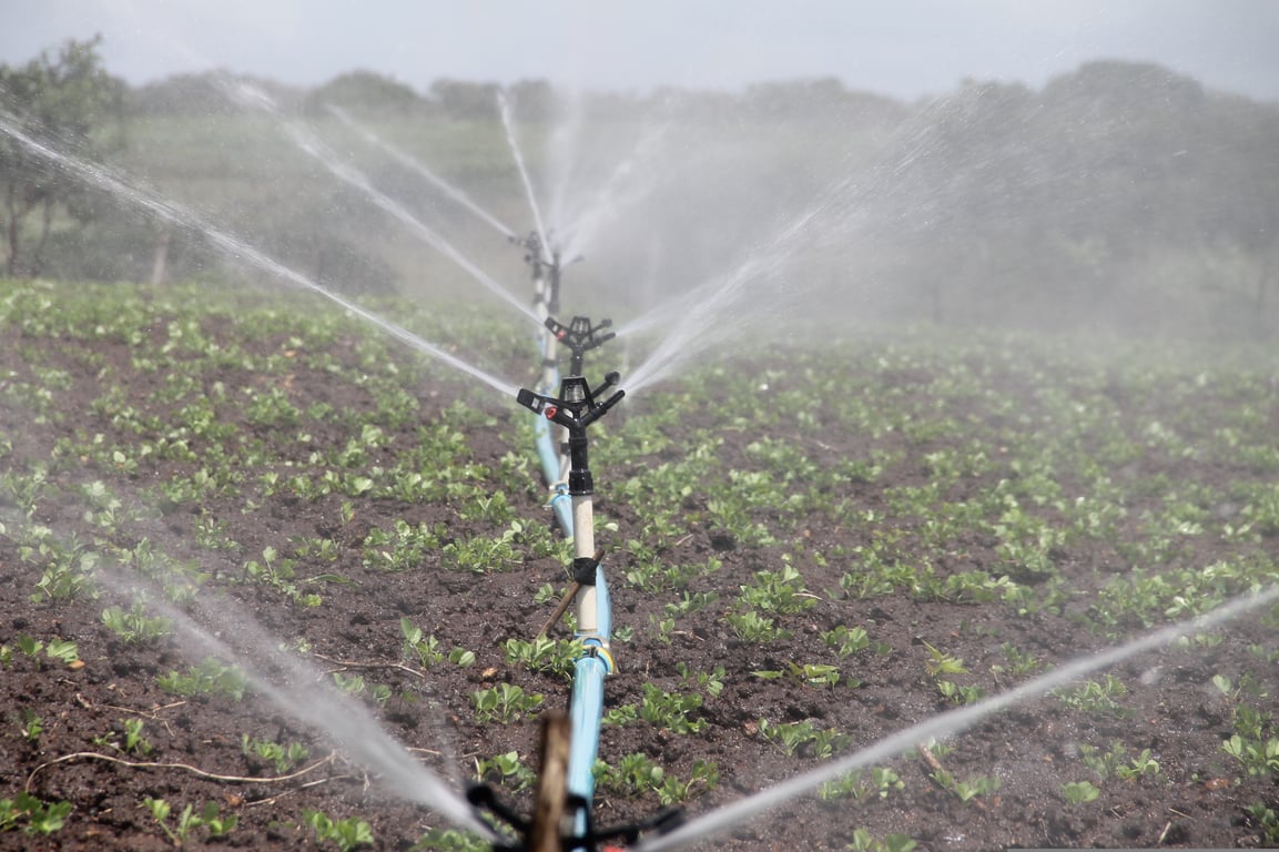 drip irrigation system