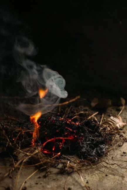 Image describing Unlock the Best Fuel Rewards of 2025 Now!