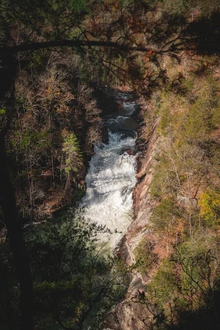 Image describing Why 4K Streaming Cameras Are a Must-Have in 2025!