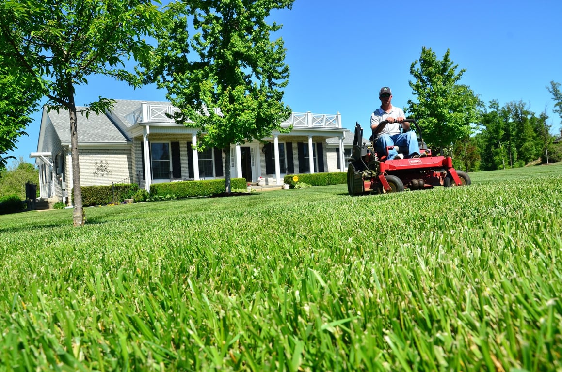 professional lawn mowing