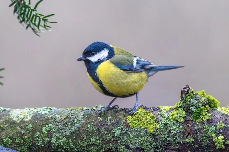 Image describing Top 10 Tweets That Will Go Viral in 2025—Guaranteed!