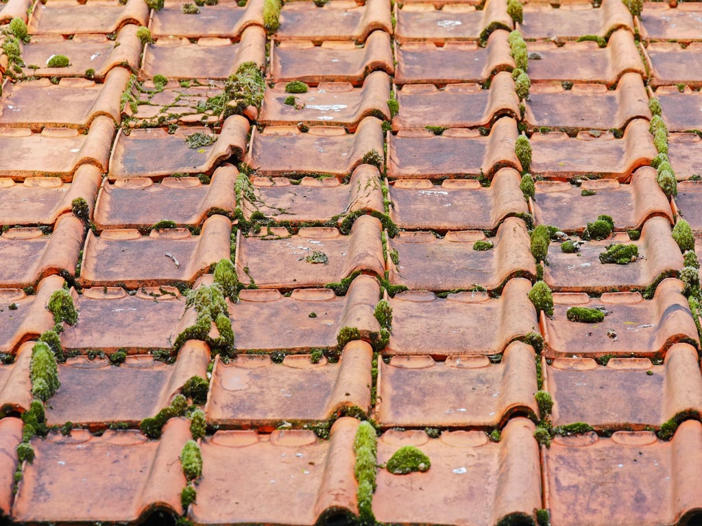 roof inspection