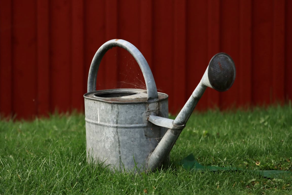 TruGreen Lawn Care Cost: What You’re Paying For and How to Compare Plans