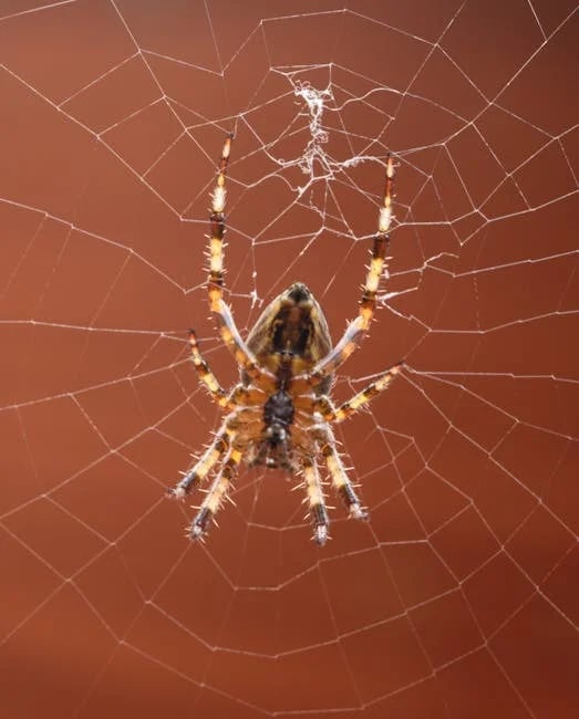 Image describing How to Win MobilityWare Spider Solitaire Fast in 2026?