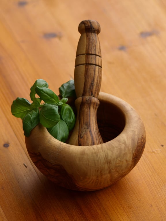 toilet plunger