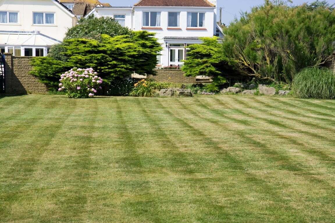 backyard patio landscaping