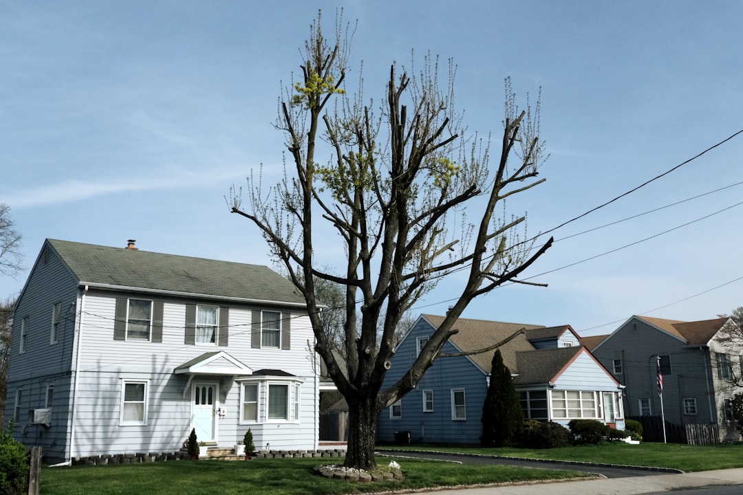 Current Home Solar: What U.S. Homeowners Should Evaluate Before Installing