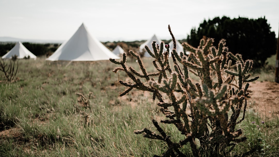 Under Canvas Zion: What to Know Before Booking a Glamping Stay