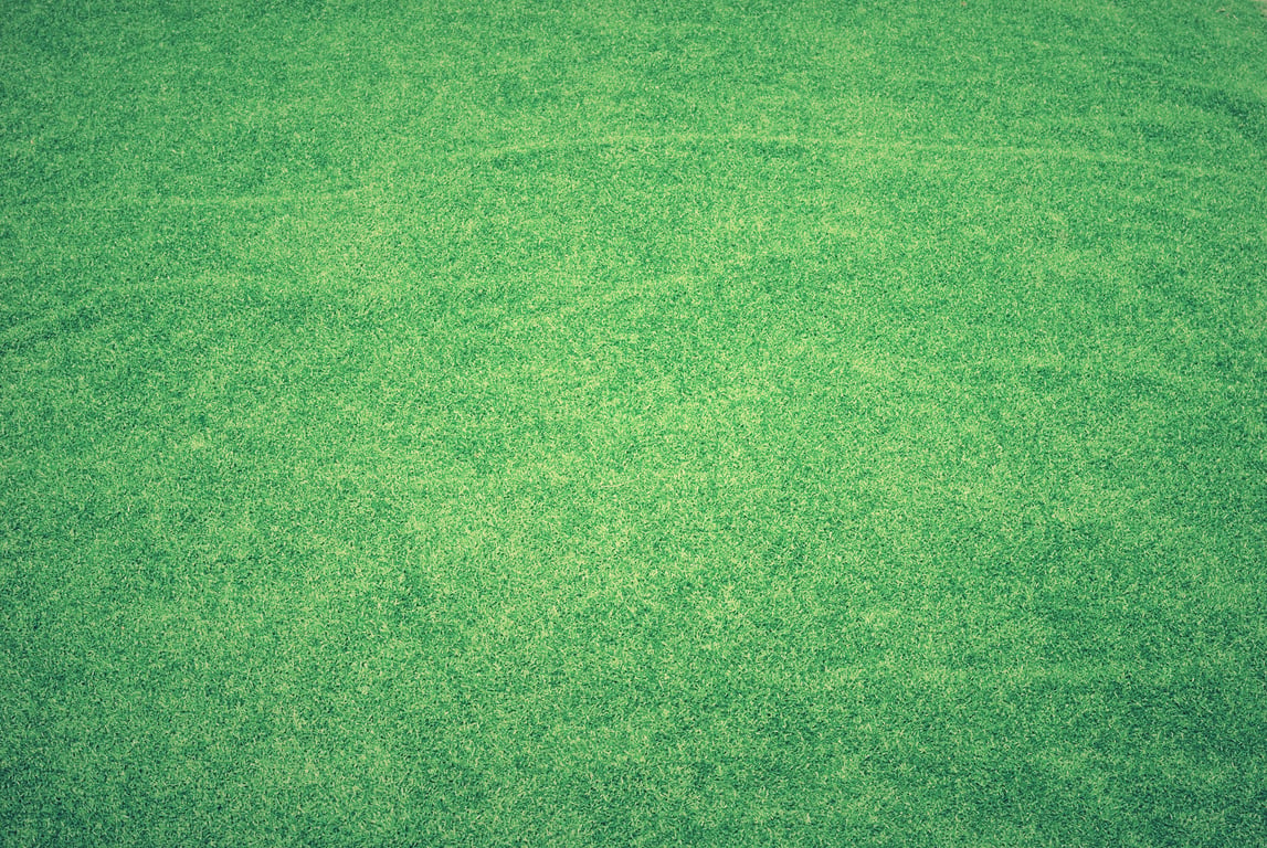 fresh sod lawn installation