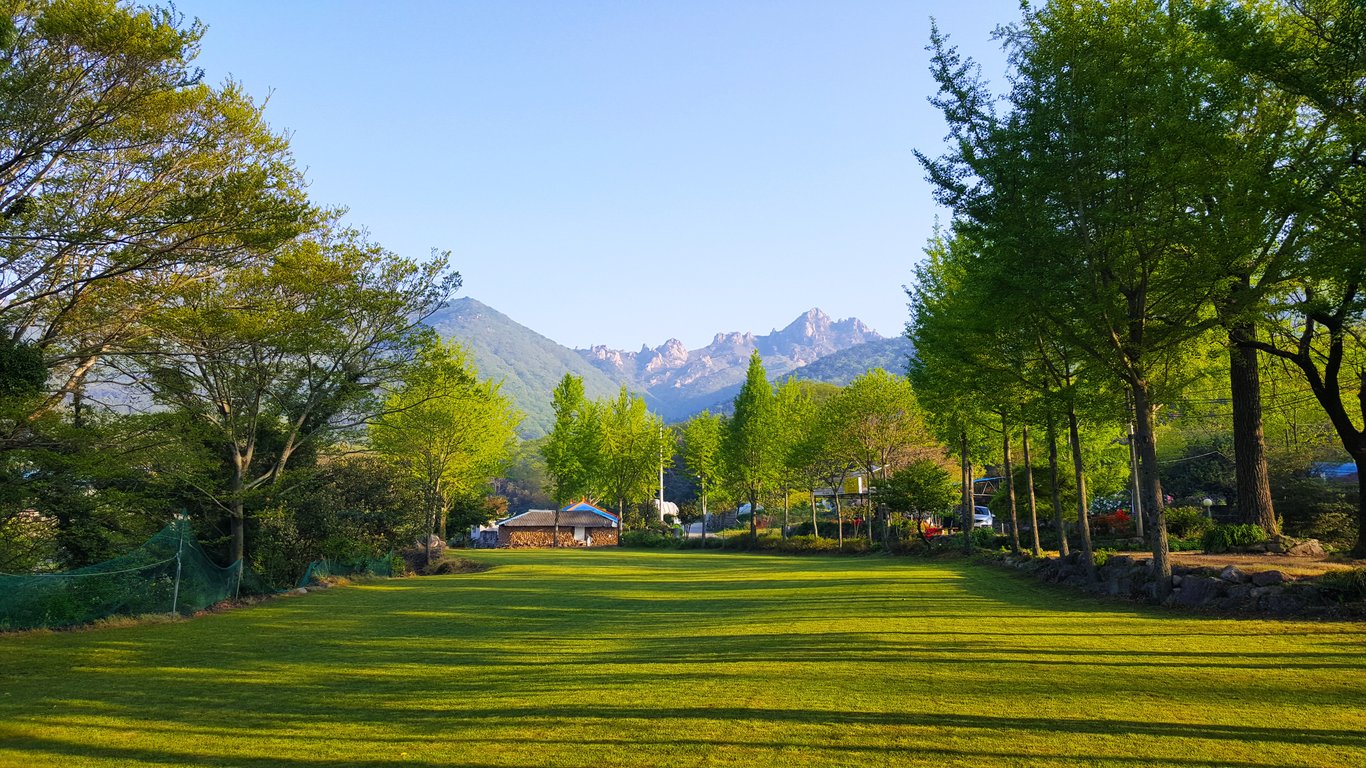 How to Compare Heating and Air Companies Before You Hire