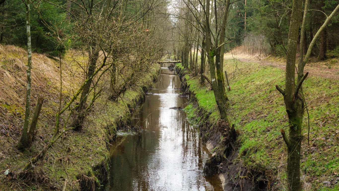 landscape drainage installation